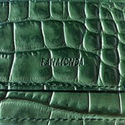 FANACONDA cover image