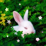 I don't care cover image