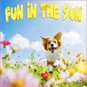 Fun In The Sun cover image