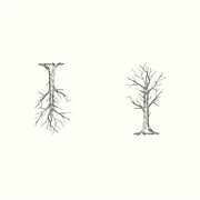 Nevertheless cover image