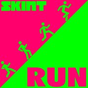 Run (skint records presents) cover image