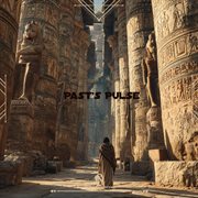 Past's Pulse cover image