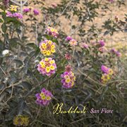 Beatitude cover image