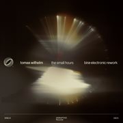 The Small Hours (Birø Electronic Rework) cover image