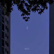 Night Air cover image