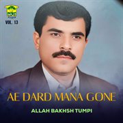 Ae Dard Mana Gone, Vol. 13