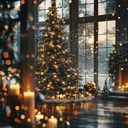 It's The Most Wonderful Time Of The Year cover image