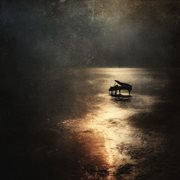 Where Light Rests Softly cover image