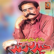 Benan Te Sindhi Mehfil, Vol. 7 cover image