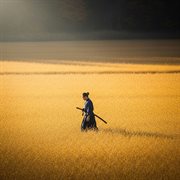 Soft Passing Light cover image