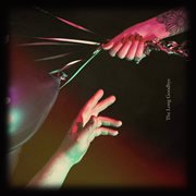 The Long Goodbye cover image