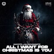 All I Want for Christmas Is You cover image