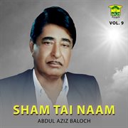 Sham Tai Naam, Vol. 9 cover image