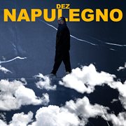 Napulegno cover image