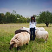 Catharsis cover image