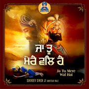 Ja Tu Mere Wal Hai
