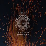 Small Fires, Slow Burn cover image