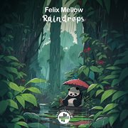 Raindrops cover image