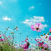 Warmness cover image