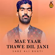 Mae Yaar Thawe Dil Jani cover image
