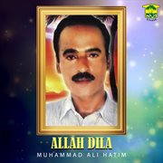 Allah Dila cover image