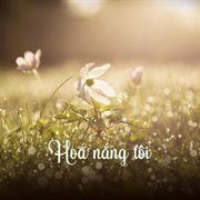 Hoa Nắng Tôi cover image