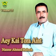 Aey Kai Tora Aint, Vol. 25 cover image