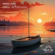 Still Afternoon cover image