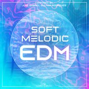 Soft Melodic Edm cover image