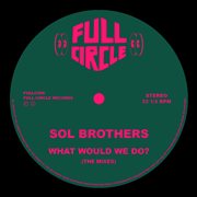 What Would We Do? (The Mixes) cover image