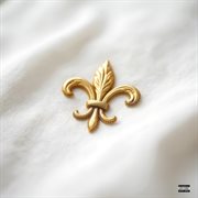 Novo Brilo cover image