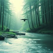 Zen Serenity: Yoga & Meditation Music : Yoga & Meditation Music cover image