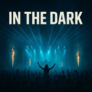 In The Dark cover image