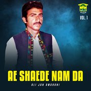 Ae Shaede Nam Da, Vol. 1