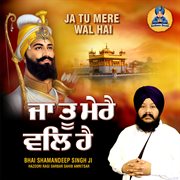 Ja Tu Mere Wal Hai cover image