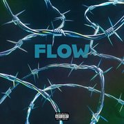 Flow cover image