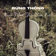 Rừng Thông Xanh Mướt Trên Sườn Đồi cover image