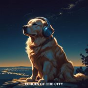 Echoes Of The City cover image
