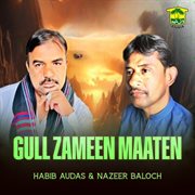 Gull Zameen Maaten cover image