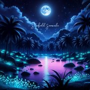 Starfield Serenade cover image