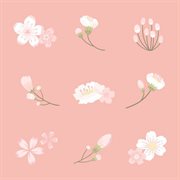 Lovely Sakura cover image