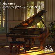 Scenes From A Memory cover image