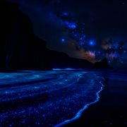 Tranquil Pulse cover image