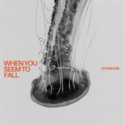 When You Seem To Fall cover image