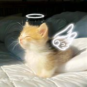 Seraphine cover image