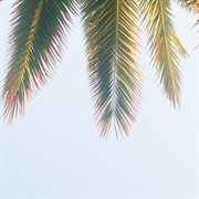 Tell Me Why cover image