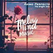 The Bright Side cover image