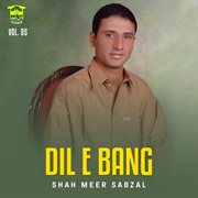 Dil E Bang, Vol. 05 cover image