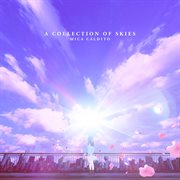 A collection of skies cover image