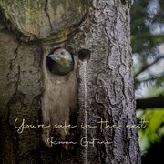 You're safe in the nest cover image